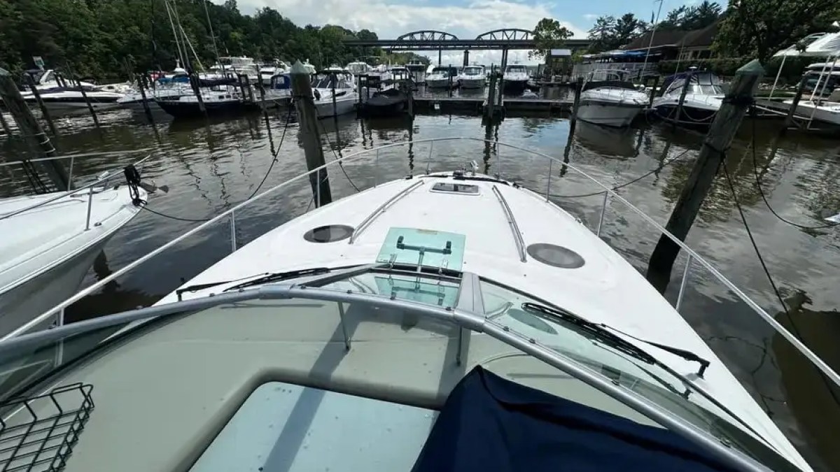 38' SeaRay - Boat Rental in St. Petersburg, Florida