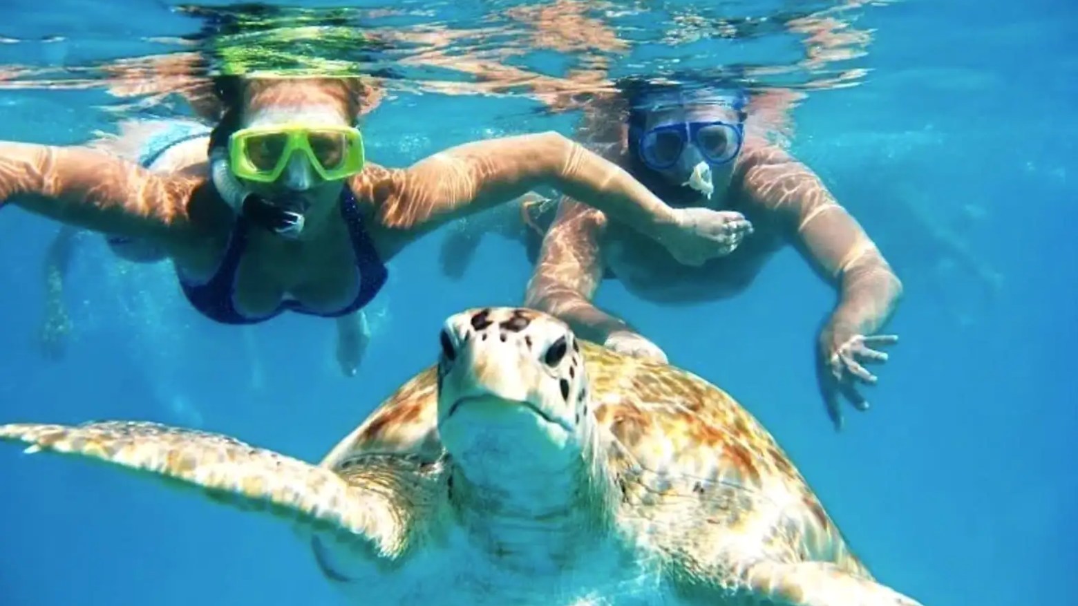 39' Midnight Express - Boat Rental in Nassau, Bahamas