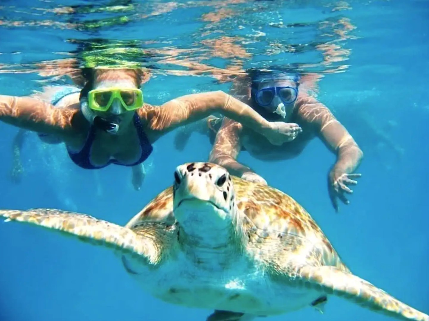 39' Midnight Express - Boat Rental in Nassau, Bahamas