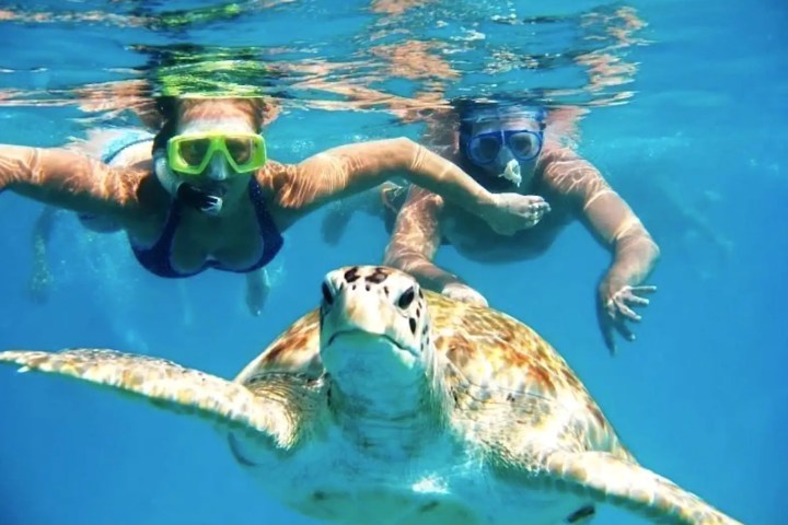 39' Midnight Express - Boat Rental in Nassau, Bahamas