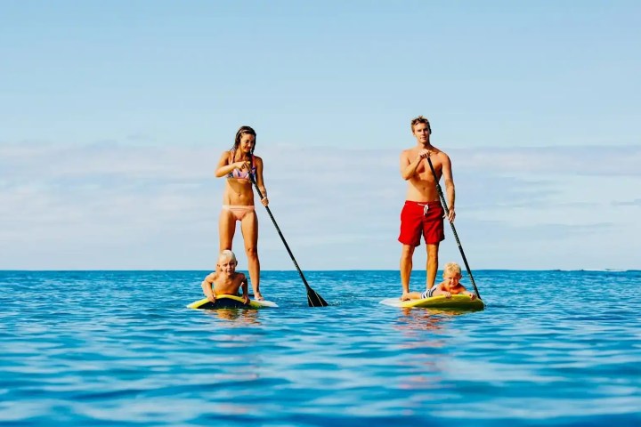 Paddle Board - Water Toy Rental for Boats, Yachts & Special Events