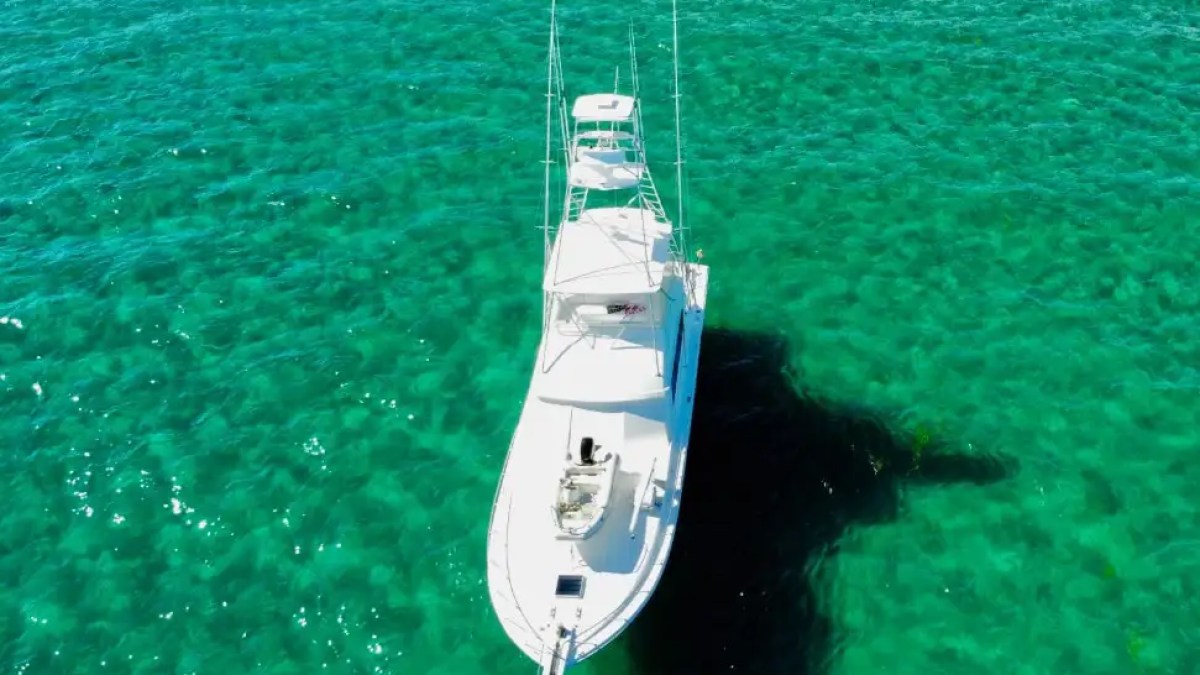60' Bertram - Yacht Rental in Pompano Beach, Florida