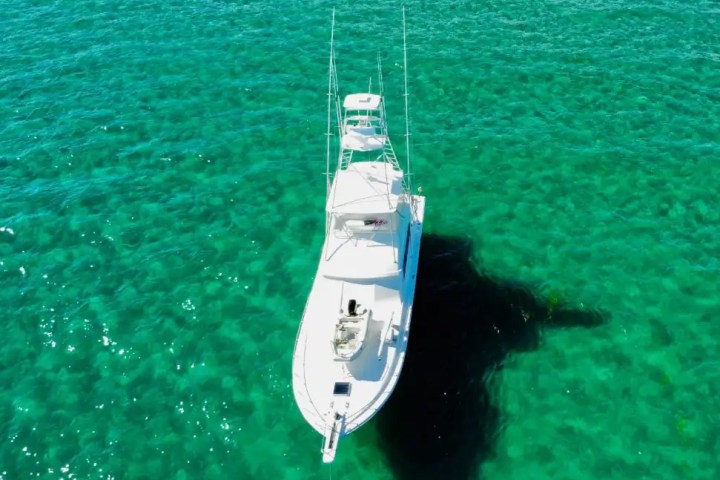 60' Bertram - Yacht Rental in Pompano Beach, Florida