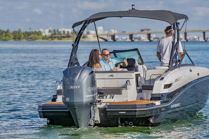 People on a motorboat in a sunny bay with a cityscape and bridge in the background.