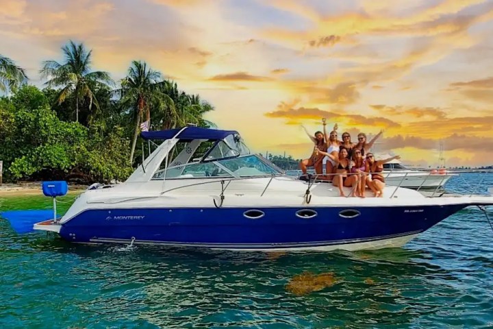 A group of people on a blue and white boat near palm trees at sunset.