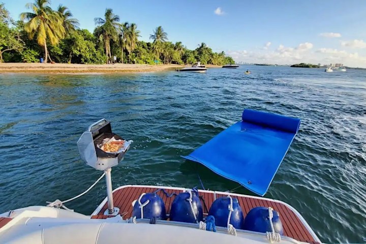Boat with grill, blue mat on water, and palm trees on shore.