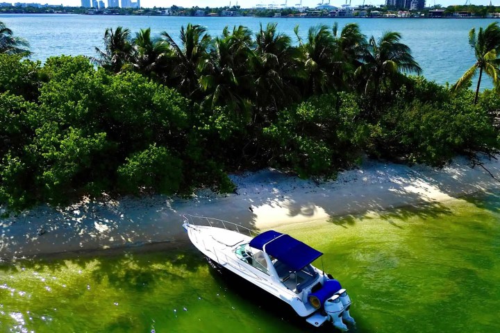 Boat rental at anchor on an island, 37′ Monterey Miami