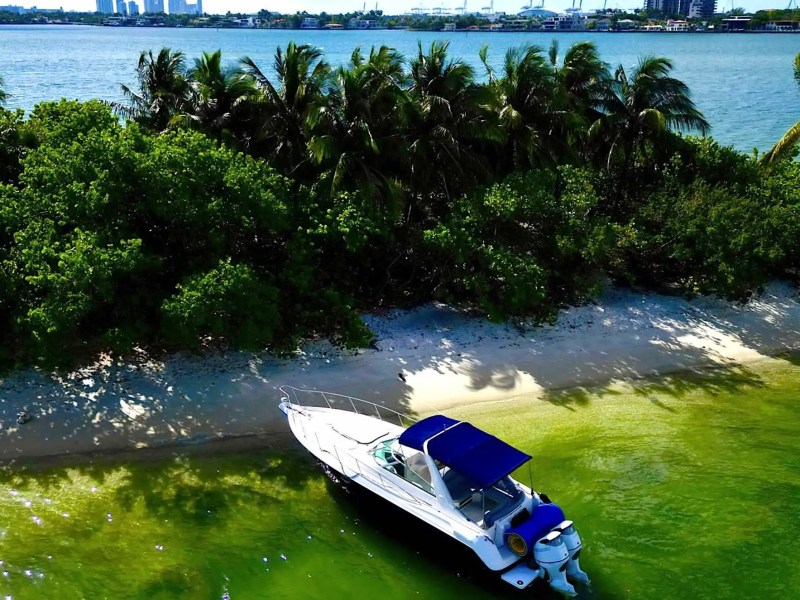 Boat rental at anchor on an island, 37′ Monterey Miami