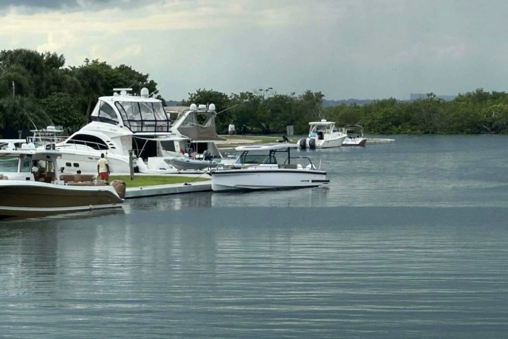 Multiple boats docked near a grassy shoreline under a cloudy sky.