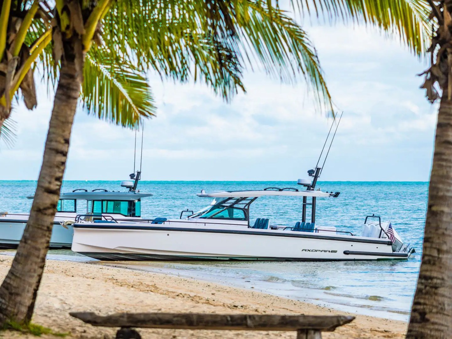Two white boats on a sandy beach, framed by palm trees, with a clear blue sea background.
