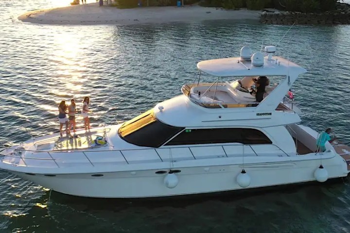 White yacht on water near small island with people on deck and bridge.