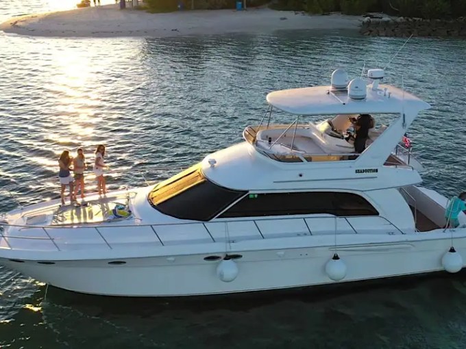 White yacht on water near small island with people on deck and bridge.