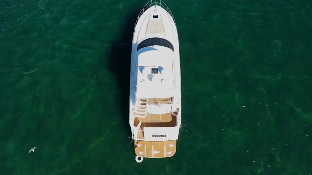 Aerial view of a white yacht in green water, with a bird visible near the bottom left corner.