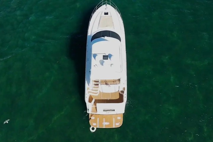 Aerial view of a white yacht in green water, with a bird visible near the bottom left corner.