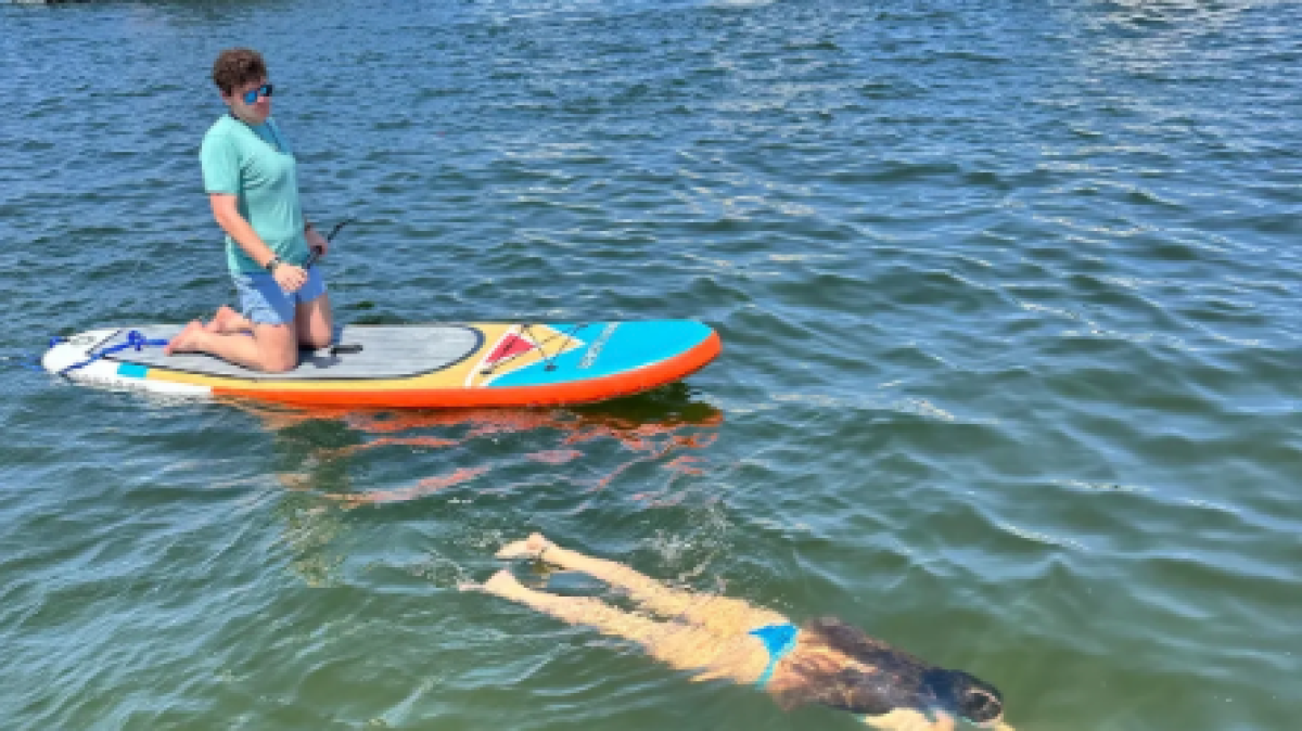 Person kneeling on paddleboard next to swimmer in ocean, with boats and city skyline in the background.