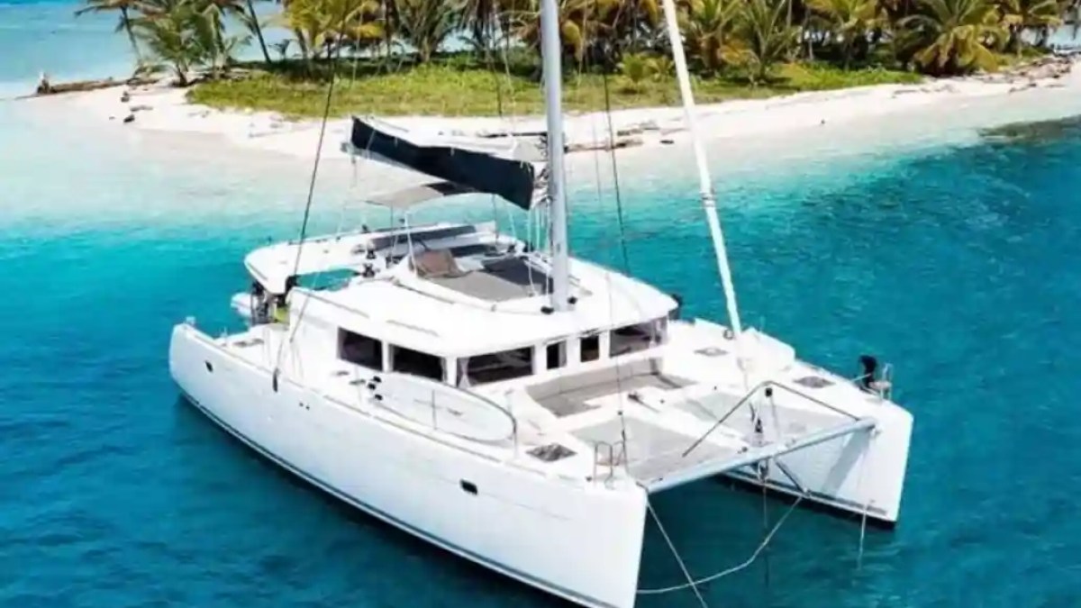 White catamaran anchored near a tropical island with palm trees and clear blue water.