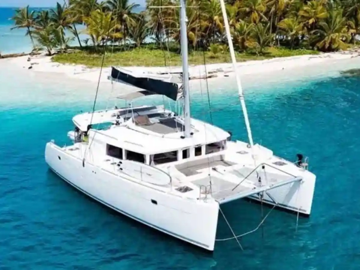 White catamaran anchored near a tropical island with palm trees and clear blue water.