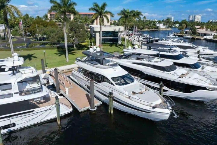 Luxury yachts docked at a marina, surrounded by palm trees and green landscape.