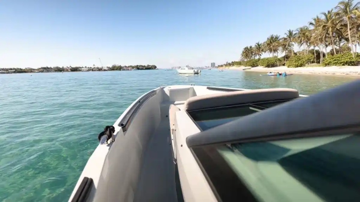 Boat on clear water near a sandy beach with palm trees under a blue sky.