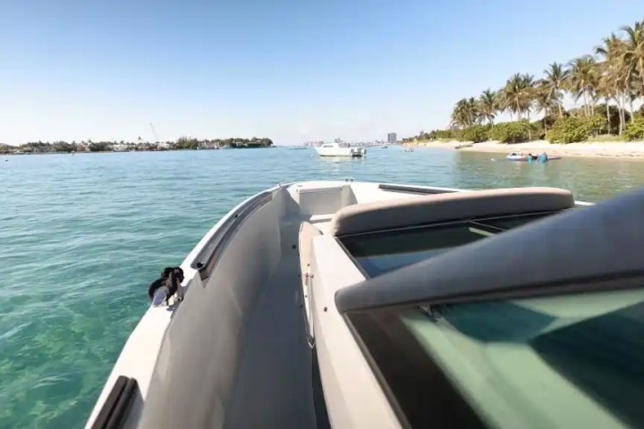 Boat on clear water near a sandy beach with palm trees under a blue sky.