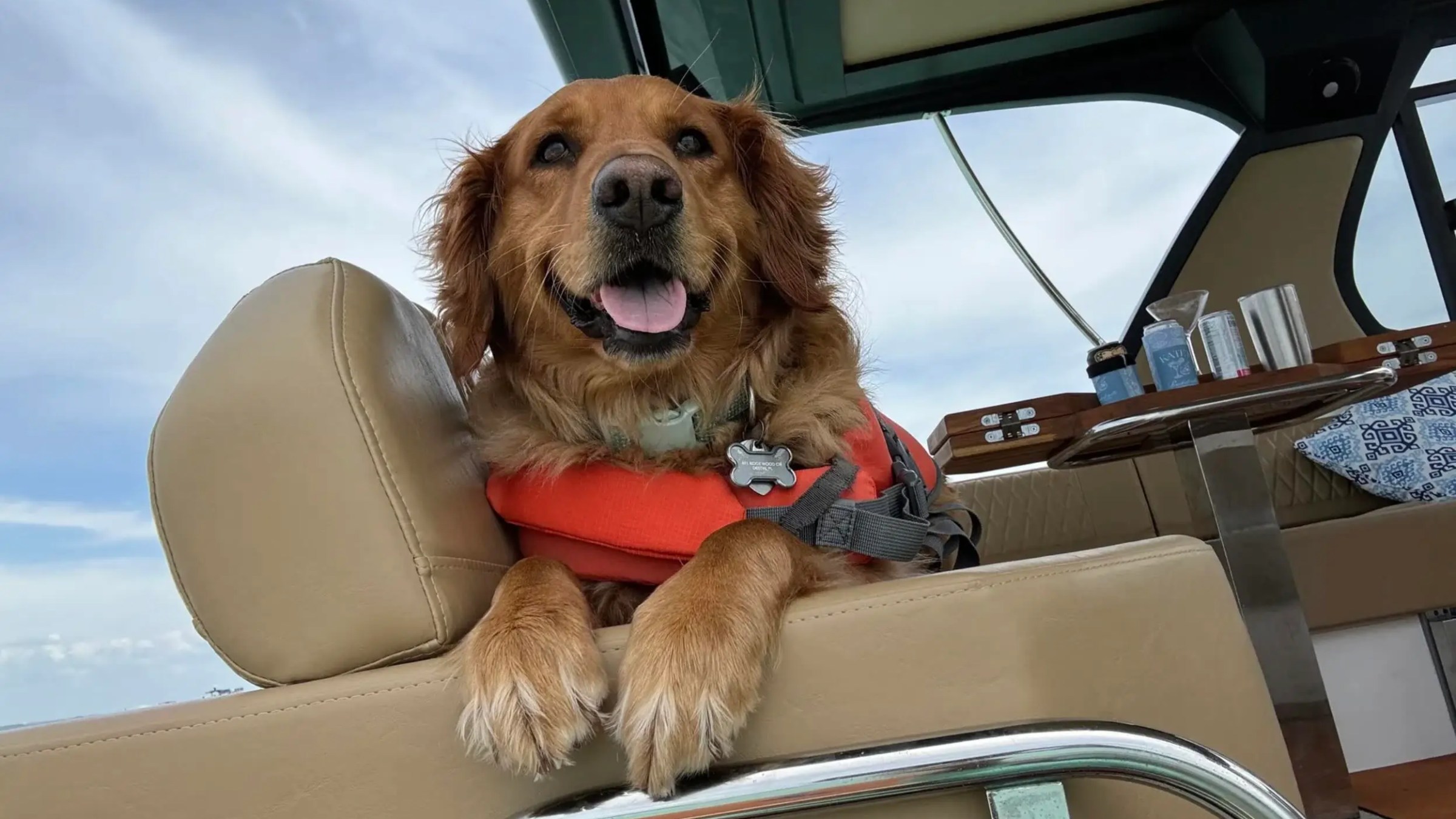 Dog wearing life vest on a boat, with paws on seat backrest.