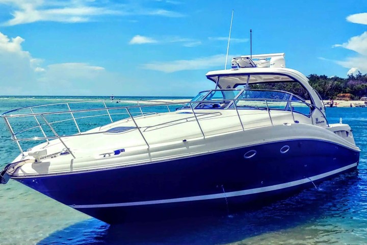 41' SeaRay - Boat Rental in Naples, Florida