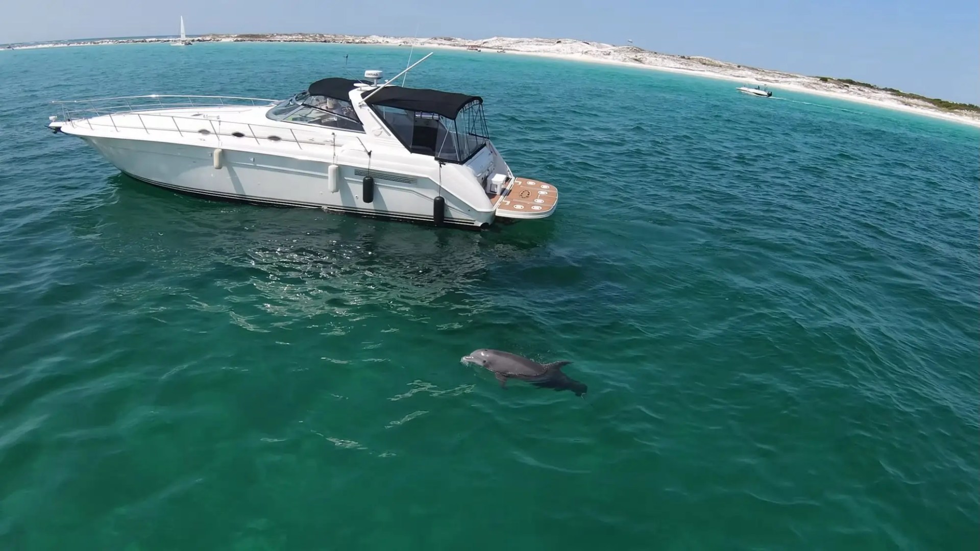 Boat on turquoise water with a dolphin swimming nearby, sandy shore in background.