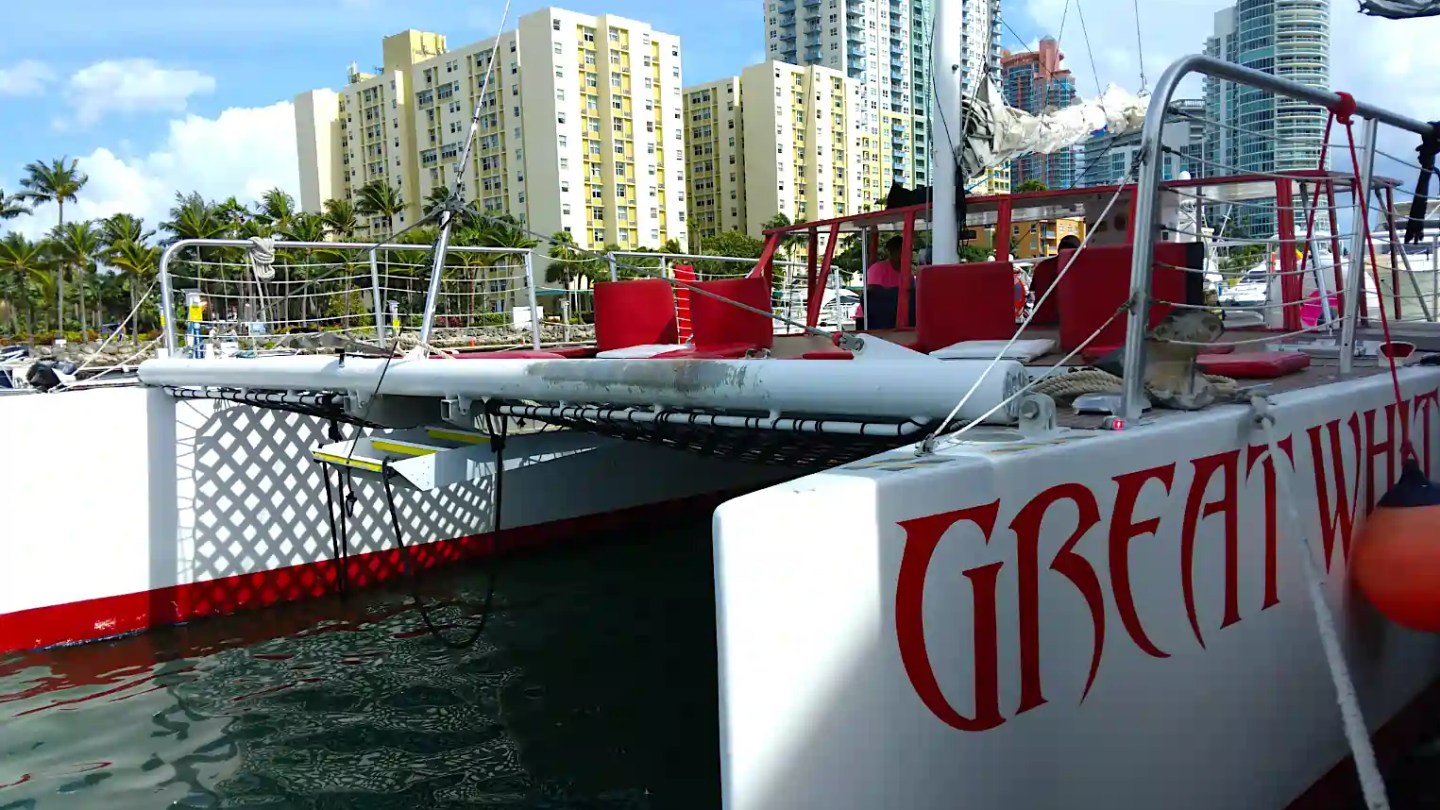 Docked catamaran named 'Great White' with city skyline in the background.