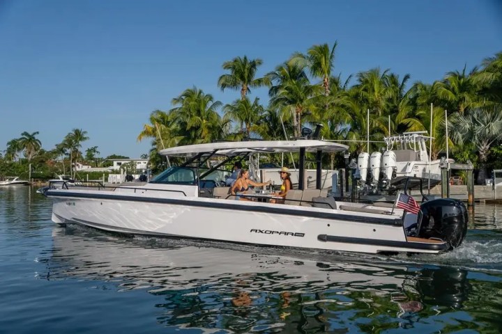 A modern motorboat with two people onboard, cruising near a dock lined with palm trees.