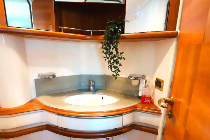Compact bathroom with round sink, mirrors, and plant on shelf.