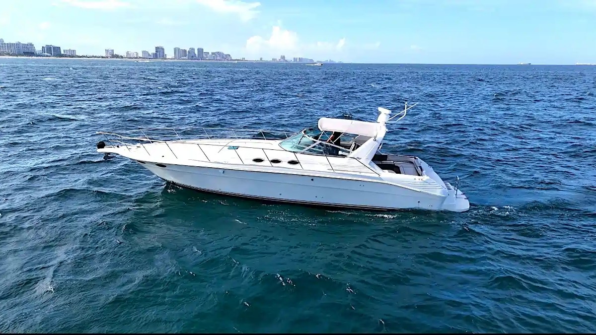 White yacht sailing on a calm ocean with city skyline in the background.